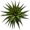 Nearly Natural 28” Agave Artificial Plant, Green
Thick Dark Green Leaves, Realistic Texture Trunk, Nursery Pot Included, Ideal for Bathroom Countertop or Shelf Decor