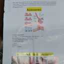 Pin Maker, Button Maker Machine, Pin Maker Machine Kit Includes 300Pcs Pins 25/32/58mm (1/1.25/2.25 inch), 3 Circle Paper Cutters, DIY Button Pin Maker, Button Badge Press Machine(Pink) (Round)