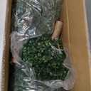 kyesyes Artificial Boxwood Ball Bush 27" Tree UV Resistance Rated with Spike. Easy to Push in The Ground.Plant Looks Great in a Planter Anywhere. Indoor/Outdoor Decor 2 Pack