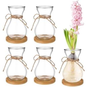 Bulb Glass Vases for Flowers Forcing Hyacinth Clear Decorative Bulb Vase with Round Bamboo Coaster for Home Office Table Decoration(4 Pcs)