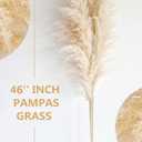 40" inch 10 Stems Natural Pampas Grass Decor Tall, pompas Grass, Tall Pampas Grass for Wedding, Party, Farmhouse, Boho Home Decor