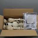 JOYIN Halloween Golden Retriever Skeleton 34 Animal Dog Plastic Skeleton with Movable Posable Joints for Haunted Houses Halloween Decorations, Graveyard Scenes, Outdoor Indoor Garden Party Decor