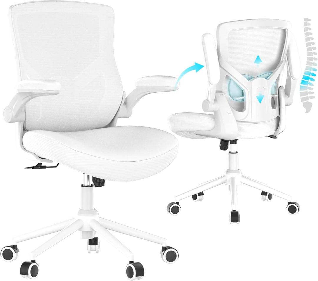 Office Chair, High Back Desk Chair Adjustable Height and Ergonomic Design Home Office Computer Chair Executive Lumbar Support Padded Flip-up Armrest Swivel Task Chair (Snow)