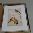 8x10 Picture Frame, Brass Aluminum Metal Photo Frames with HD Glass, Fits 5x7 with Mat or 8 x 10 without Mat, Display for Wall and Table