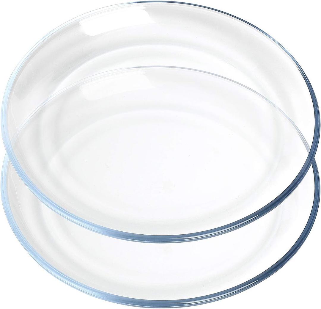 FOYO Basics Glass Plate Set, 10 inch Round Tempered Glass Dinner Plates, Glass Serving Dinnerware, Set of 2
