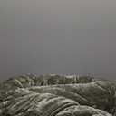 Quilt Set Oversized King Size 120x128 Luxurious Velvet Bedding Sets with 2 Pillow Shams 20x36 3 Pieces Ultra Soft Quilted Bedspread Coverlet Comforter for All Season,Army Green