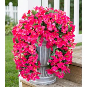 HyeFlora Bougainvillea Artificial Hanging Flowers Plants for Outdoors Decoration, 2pcs Fake Flowers Silk Bougainvillea Vines Realistic UV Resistant Faux Flowers for Planters Porch Patio Urn, Hot Pink