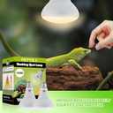 LUCKY HERP Heat Lamp Bulbs - 150W Reptile Heat Lamp 2 Pack, Daylight Basking Heat Lamp Bulbs for Reptile, UVA Heat Light Bulb for Reptiles, Amphibians, Bearded Dragons, Lizards, Turtles, Chickens
