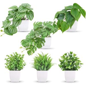 6 x Der Rose 6 Pack Fake Plants Small Artificial Potted Plants Faux Plants for Home Office Desk Bathroom Aesthetic Farmhouse Room Decor Indoor