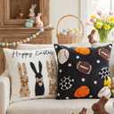 Macarrie 3D Embroidered Easter Bunny Pillow Cover 18x18 Inch Set of 2 Velvet Easter Decorations Rabbit Pillow Cover Soft Sports Pillowcase for Spring Sofa Couch Bedroom Sports Home Decor (Black)