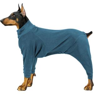 Dog Winter Coat for Small Medium Large Dog Run Walk Sleep Pet Warm Fleece Sweater & Windproof Pajamas Snow Jacket Large Turquoise, Large 