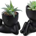 Der Rose Set of 2 Fake Plants Artificial Succulent Plants for Office Desk Accessories Black Bathroom Home Room Aesthetic Decor Indoor, Black 