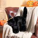 Soulchen Black Cat with Witch Hat Shaped Plush Pillow Frightened Cat Shaped Pillow Black Kitten Stuffed Animals Toy Halloween Decorative Gift for Trick or Treaters