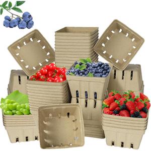 60 Pack Small Natural Pulp Fiber Berry Baskets Eco-Friendly Vented Produce Containers for Strawberries, Blueberries, Raspberries, Fruits and Vegetables, Ideal for Grocery, Market, and Kitchen Use
