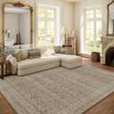 Washable Area Rugs for Living Room: 6x9 Bedroom Area Rug Boho Vintage Rugs Stain Resistant Non Slip Low Pile Soft Lightweight Carpet for Kitchen Dining Room Farmhouse Nursery Kids Room (Brown Grey Cream)