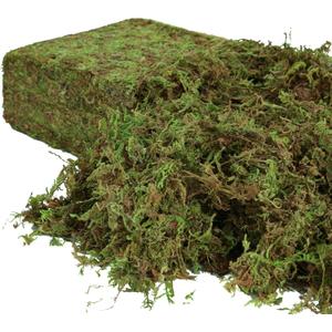 USMOLA Artificial Moss for Indoor Plants, 16OZ Fake Moss for Crafts, Decorative Centerpieces, Fairy Garden, Wedding Party Decor, Faux Potted Plants, 455gr (Natural Green)