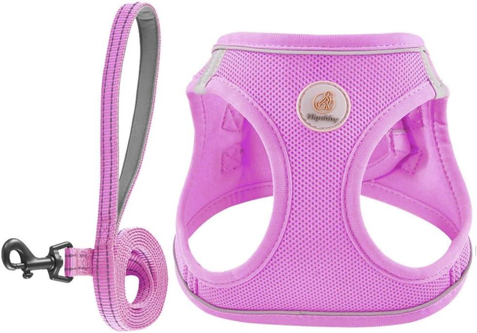 Hipubby Dog Harness and Leash Set, No Pull Soft Mesh Puppy Harness for Small Medium Dogs, Cats - Step in Reflective Breathable Lightweight Vest Harness for Walking, Training - Purple, M (M (Chest: 17.5"-19"))