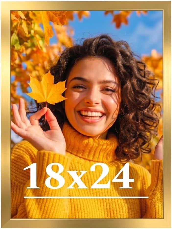 18x24 Picture Frame for Wall Display, 18x24 Gold Picture Frame with Shatter Resistant Plexiglass, Stable and Sturdy 18 x 24 Poster Frame for Wall Display, Handpicked Gift Collection, 1 Pack