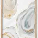 iHery Natural OAK Wood Abstract Coastal Oyster Framed Wall Art, 12x16 in Hamptons Style Beach House Decor Watercolor Canvas Wall Art, Abstract Bathroom Decor Set of 1 For Bedroom Living Room