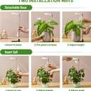 LBW Grow Light for Indoor Plants, Height Adjustable Plant Grow Lamp with Auto On/Off Timer 6/8/12/16H, 3 Colors,5 Dimmable Brightness, for Small Plants, White, 3 Packs