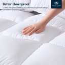 Pacific Coast Luxury White Goose Feather Down Fiber Comforter King Size, All Season Hotel Collection Duvet Insert, Ultra Soft, Breathable Bedding Comforter with 8 Corner Tabs, 106x90 Inch White