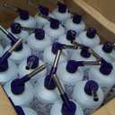 Lixit Weather Resistant Cage Water Bottles for Rabbits, Ferrets, Guinea Pigs Hamsters and Other Small Animals. (32-Ounce)