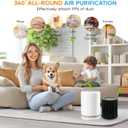 Air Mini Filters Replacement for PECO Filter Compatible with Moleku-le Tri-Power Air Mini and Air Mini+ Air Purifiers, 3-in-1 High-Efficiency Filtration System, 2 Pack