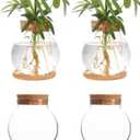 Plant Propagation Station,Hydroponic Glass Container Vase Jars, with Wooden Saucer for Desks, Houses, Garden Decorations, Home Kitchen Decorations and Gifts for Plant Lovers (4)