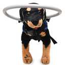 Ring Harness for Dog, Adjustable Dog Ring, Bumper Guards for Dogs Blue Small (Small: Recommand Weight 8.8-22 lbs (4-10kg))