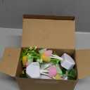 Mudder 6 Pack Mushroom Night Light LED Night Light Plug in Lamp 7 Color Changing Magic Cute Shaped Lamp Wall Decor for Adults Bathroom Home(Water Plants, Lotus Leaves, Mushroom)