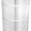 Waterway 817-0100P Eco Kleer 100 Sq. Ft. Cartridge for Filters