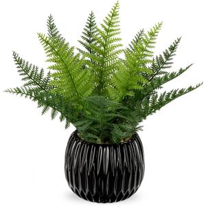 DILATATA Faux Plant Indoor in Ceramic Pot 11" Artificial Potted Fern Fake House Plants for Desk Office Bathroom Garden Decoration - Black