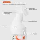 Dandylion Clean Paws No-Rinse Foaming Cleanser Refill  Gentle, Fragrance-Free, pH-Balanced for Dogs, 10 fl oz