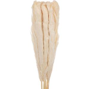 MECCANIXITY 10pcs Natural Rabbit Bunny Tails Dried Flowers 40" Mini Pampas Grass Lagurus Ovatus Bunch for Floral Wedding Decor Christmas, White