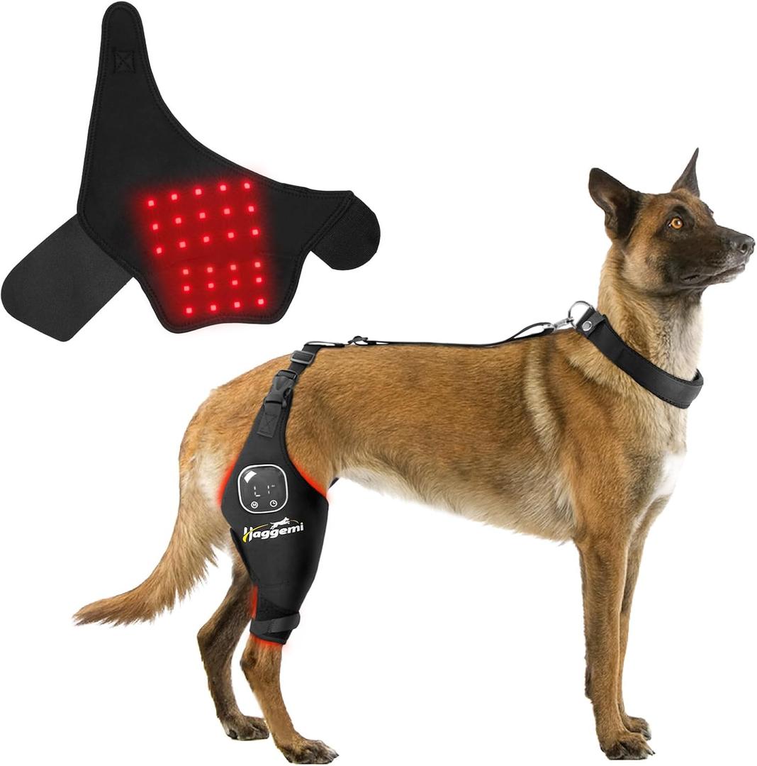 Dog Knee Brace Support for ACL & Knee Joint Issues with Red Infrared Light Therapy, Pain Relief for Arthritis & Ligaments, Portable & Cordless, Patent Pending Righ Leg, XL