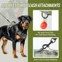 Tactical Dog Harness Camo No-Pull K9 Molle Dog Vest with Hook and Loop Panels Adjustable Military Pet Harness with Front Clip for Small Dogs Training Walking, S