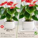 6 Pack 12 Inch Square Plant Saucer, Clear Durable Thick Plant Pot Dish for Flower Pot, Plastic Plant Tray to Catch Water for Indoor Outdoor