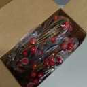 Syhood 12 ft Red Berry Garlands with Lights Artificial Lighted Valentine's Day Garlands Pre Lit Battery Operated Decors for Indoor Wedding Fireplace Mantel Table Outdoor Holiday Decors