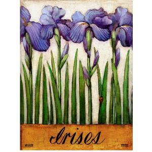 Trademark Fine Art, 14x19 Irises Purple by Daniel Patrick Kessler