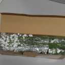 Babys Breath Artificial Flowers,12 Pcs Gypsophila Real Touch Flowers for Wedding Party Home Garden Decoration (White)