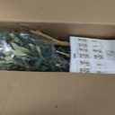 Fake Olive Tree 6FT Tall 1Pack with White Planter for Home Decor