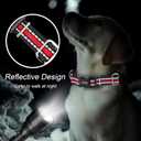 3 x Hyhug Reflective Martingale Dog Collar with Buckle: Escape-Proof, No Slip Heavy Duty Nylon, Colorfast Adjustable Pet Supplies for Small Breeds(Reflective Red, Extra Small)