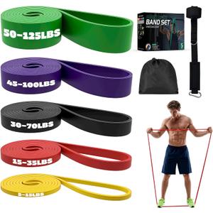 Resistance Bands Set with Door Anchor, Multi-Levels Pull Up Assistance Bands, Exercise Bands for Working Out, Stretching, Muscle Training, Physical Therapy (Men/Women) (5PCS(5-125LBS))