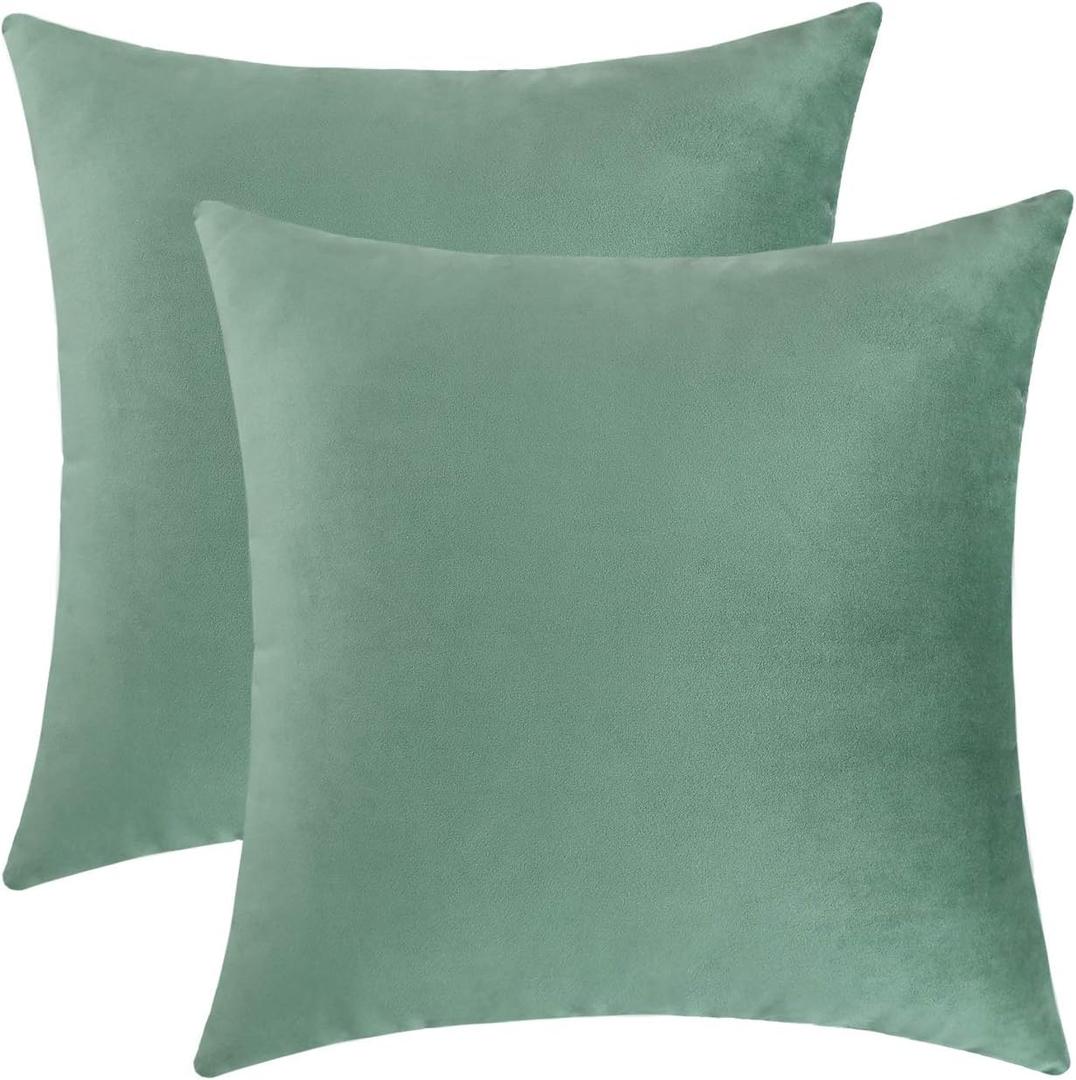 Jeneoo Set of 2 Comfy Soft Velvet Throw Pillow Covers for Sofa Couch Decorative Square Cushion Cases for Bedroom Car (20 x 20 Inches, Sage Green)