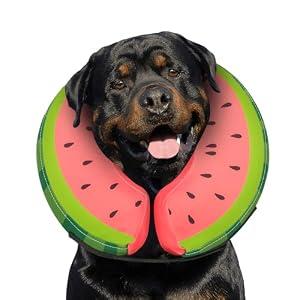MIDOG Soft Inflatable Dog Cone, Donut E-Collar Alternative for After Surgery, Prevents Licking, Allowing Normal Eating & Vision, Comfortable Recovery Collar for Small Medium Large Dogs & Cats, Red-XL