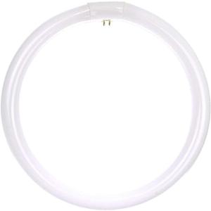T9 12" 32W 6500K daylight fluorescent tube,  Sunlite FC12T9/DL Fluorescent Circular T9 Light Bulb, 32 Watts, 80 CRI, 4-Pin (G10q) Base, White, 2 Pack