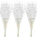 Joiedomi 24 Pcs Christmas Tree Berry Stem (White), Decorative Bead Sticks, Glittery Twigs, Picks, Branches for Christmas Tree, Small Vase, Holiday, Wedding, Party (17 Inches, White)