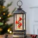 Christmas Snow Globe Lantern Indoor Decor Cardinal with Music, 6H Timer, USB Lined/ Battery Operated Lighted Lantern for Christmas Festival Decoration Gifts