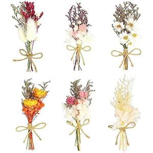 Chenkaiyang 6Pcs Mini Dried Flowers Bouquet, Mixed Natural Dried Flowers Gypsophila Bouquets Boutonniere Table Centerpieces Birthday Cake Flowers for DIY Crafts with 3 Flower Stickers 10m Hemp Rope