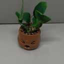 Silver Buffalo Harry Potter Mandrake Face Decorative Artificial Faux Greenery Plant in Ceramic